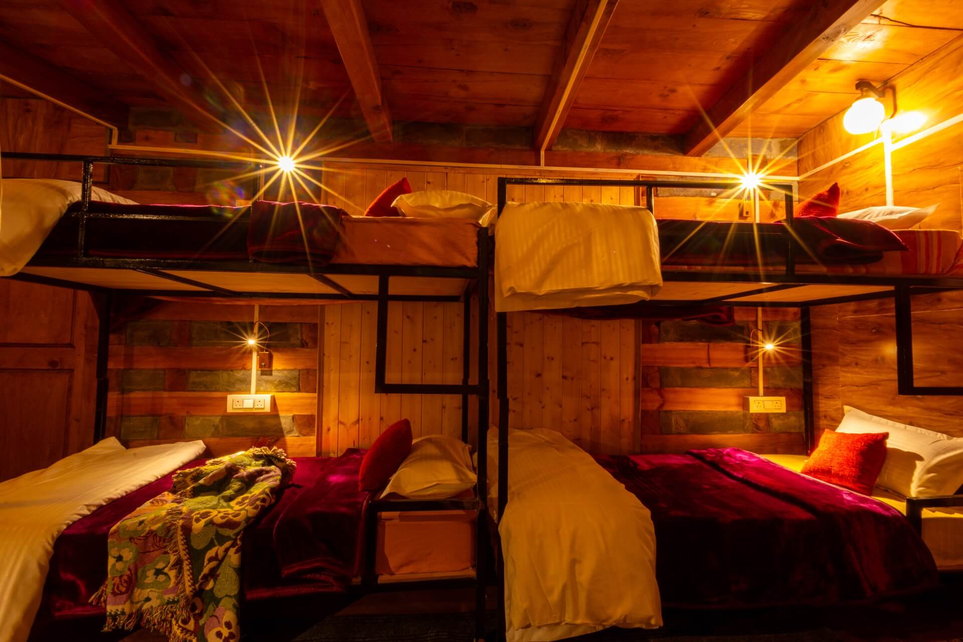 Sunflower Dorm at Wild