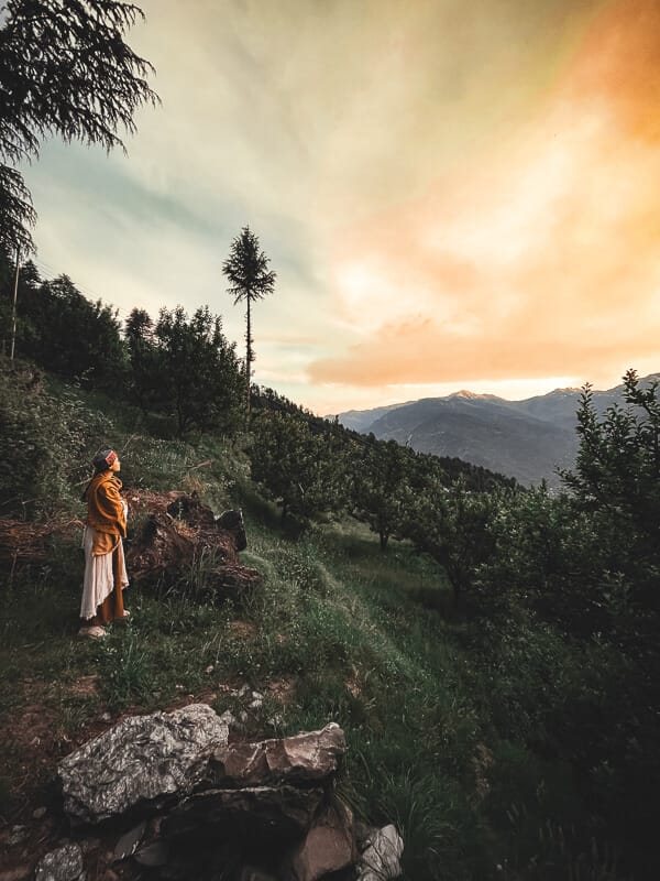 A guest looking out over the deodar forest and orchard at sunrise