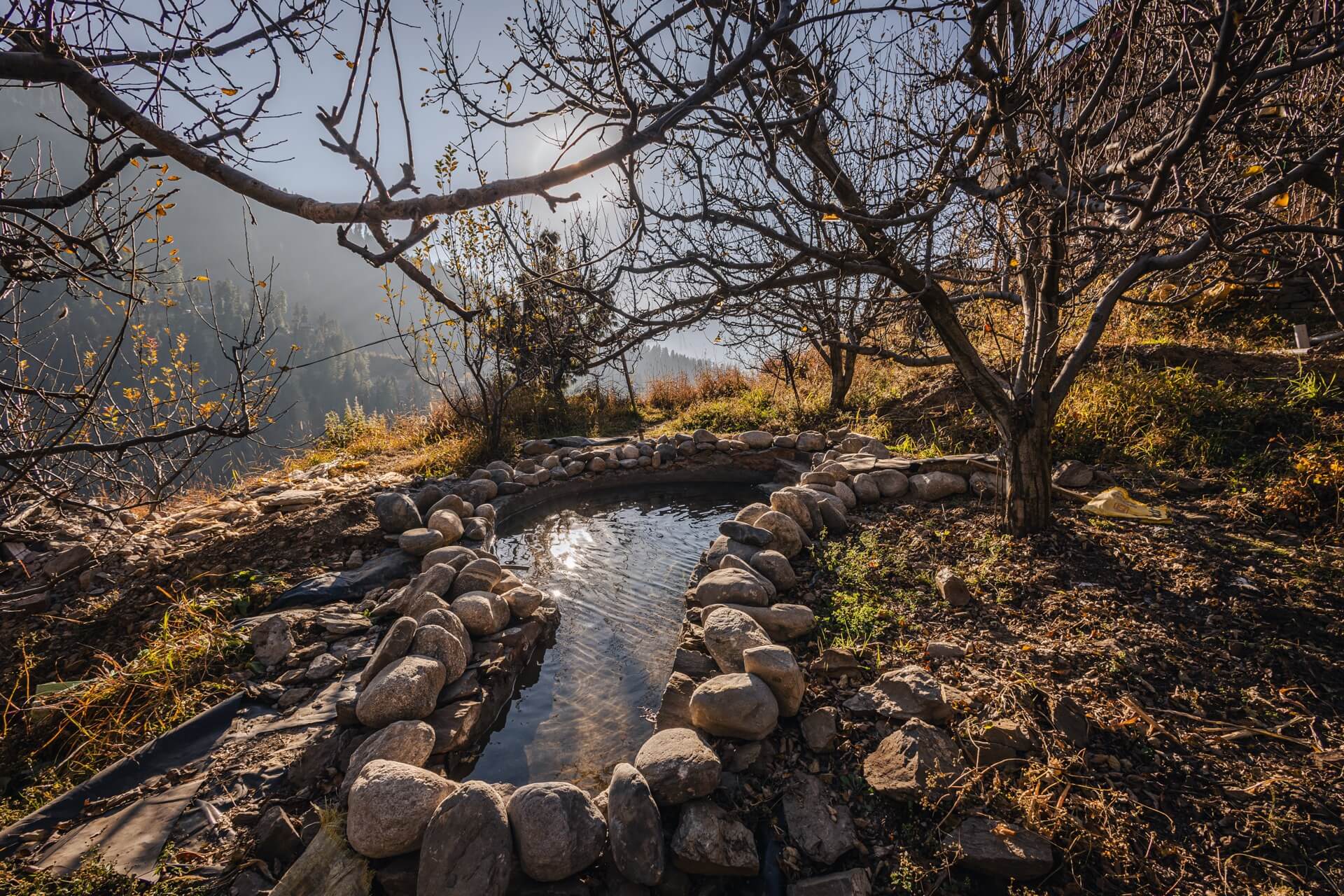Stone-ringed cold plunge in the apple orchard at Wild, misty morning